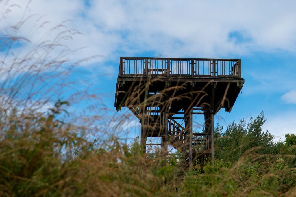 Vilkyškių apžvalgos platforma Ramūnas Šukauskas