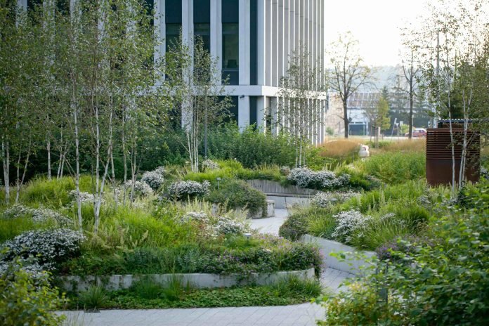 Nijolės Karpavičienės nuotr.