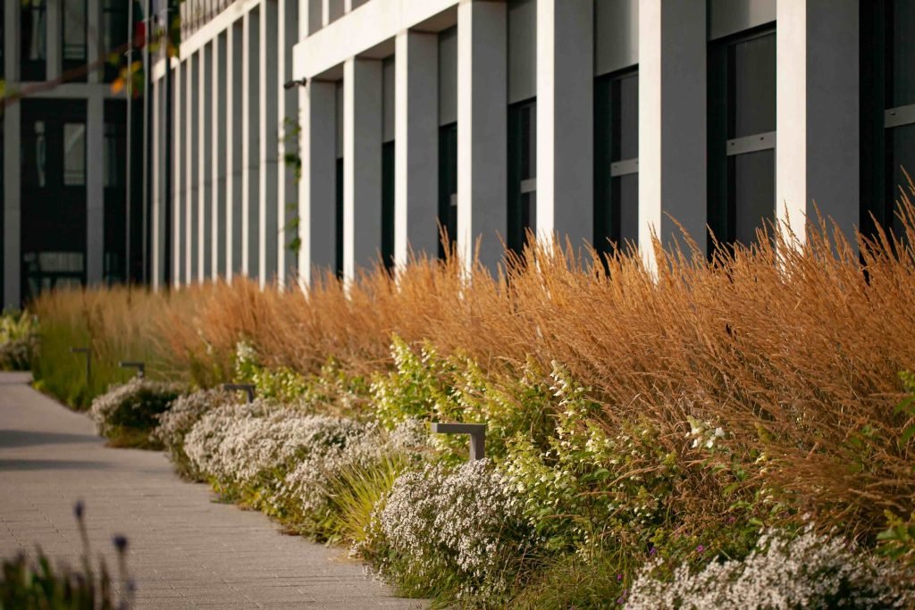 Nijolės Karpavičienės nuotr.